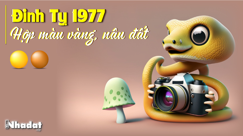 Ảnh Đinh Tỵ 1977 hợp màu vàng, nâu đất